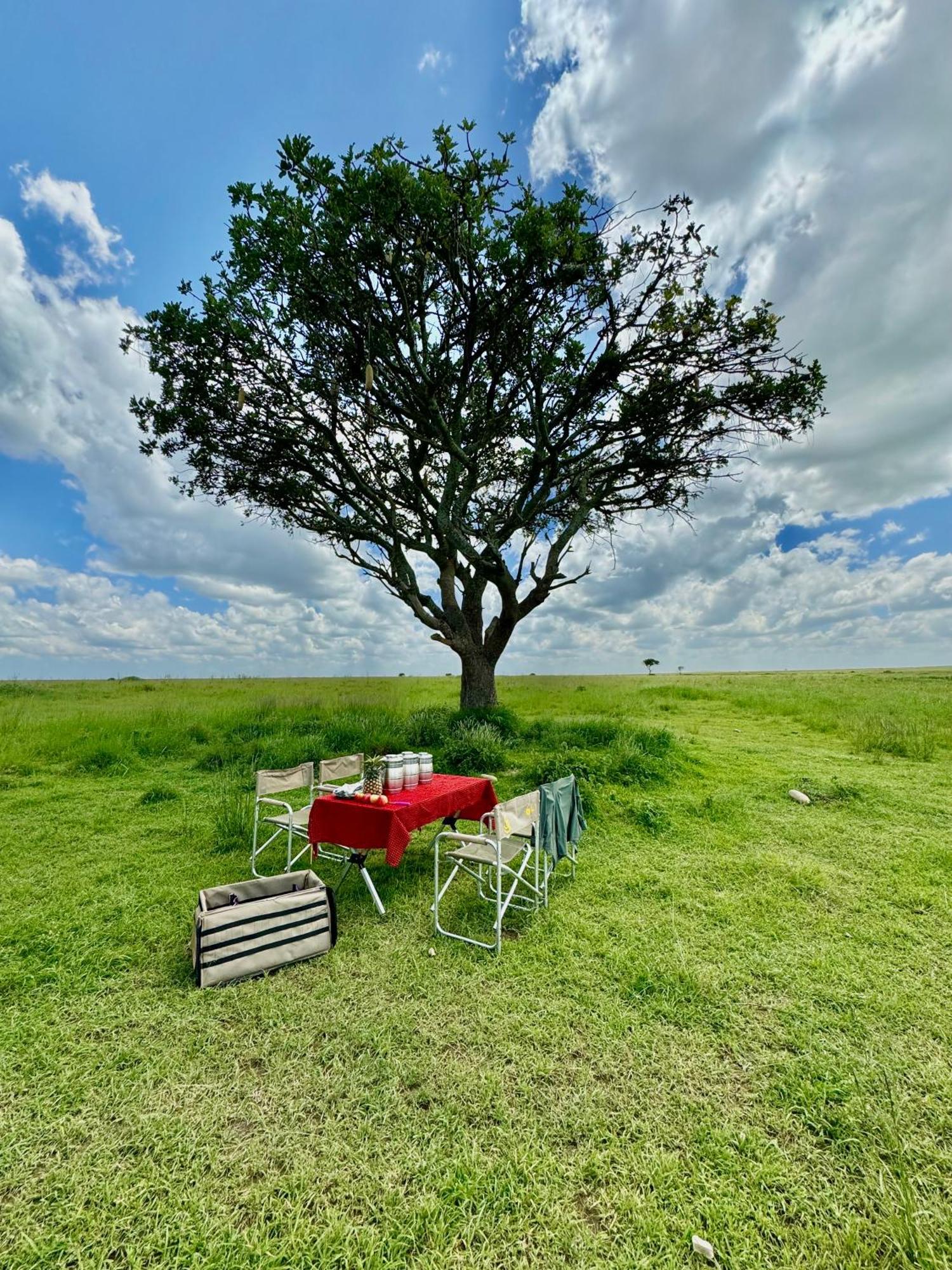 Shimbwe Meadows Home Moshi Eksteriør bilde